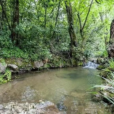 Oxyzenvilla 34800 * Lacoste (Herault)